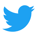 Twitter blue bird logo | BAI Tweet generator